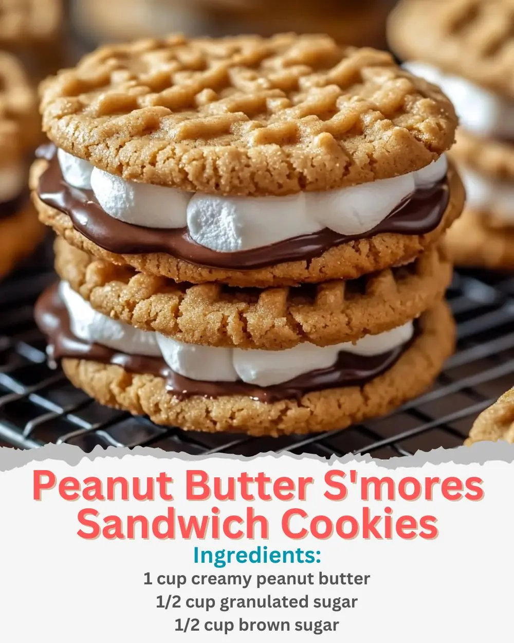 Peanut Butter S'mores Sandwich Cookies Recipe