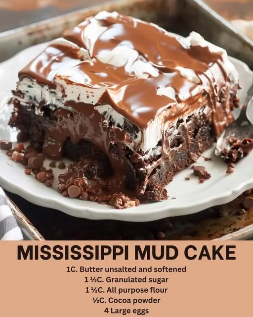 Mississippi Mud Cake ๐