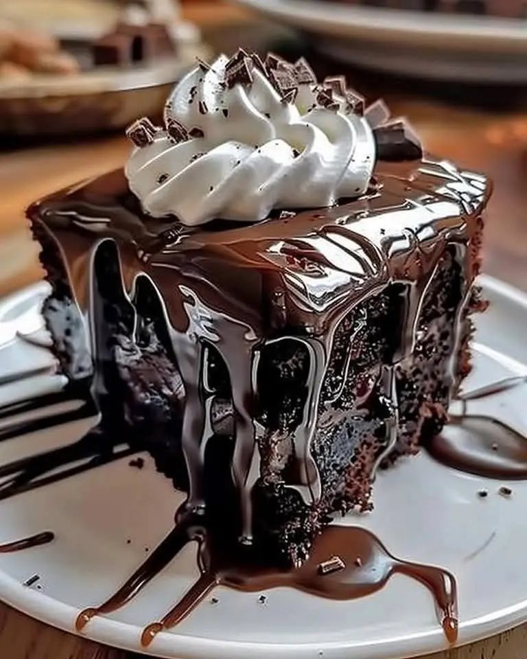 Hot Fudge Chocolate Pudding Cake ๐ซ๐จ