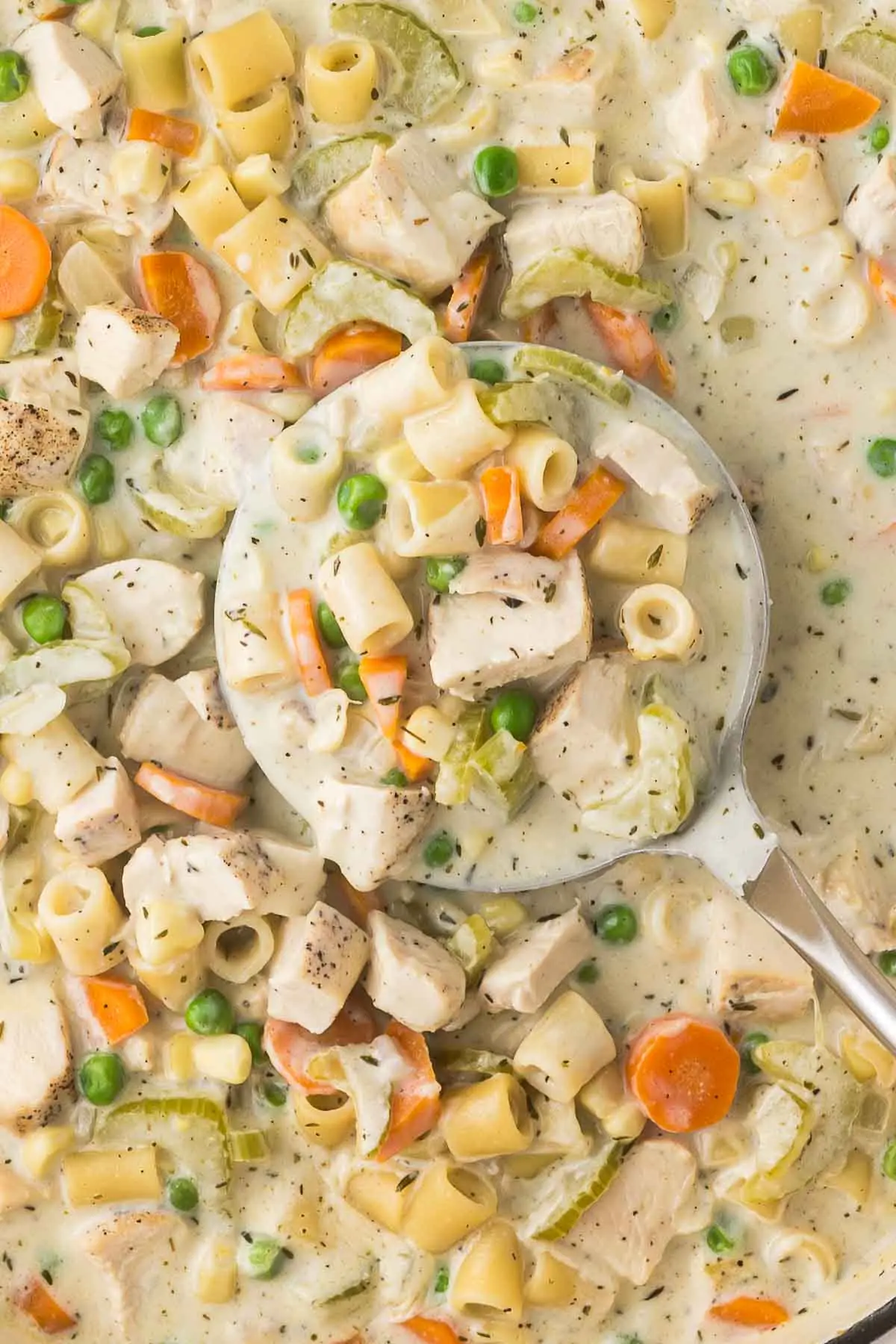 Crockpot Chicken and Noodles